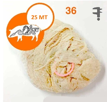 https://www.lineaverdedimariotozzi.it/immagini_articoli/24178/generico-budella-suino-naturale-25mt-40576-600.jpg