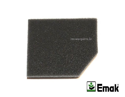 https://www.lineaverdedimariotozzi.it/immagini_articoli/353/emak-filtro-aria-oleo-mac-emak-727-730-733-735-740-072700461BR-600.jpg