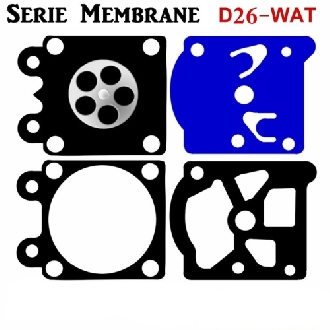 https://www.lineaverdedimariotozzi.it/immagini_articoli/915/zama-membrane-kit-walbro-d26wat-D26WAT-600.jpg